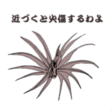 Japanese fish club sticker #6355241