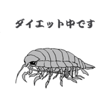 Japanese fish club sticker #6355243