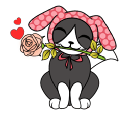 Lomo cute cat sticker #6355552