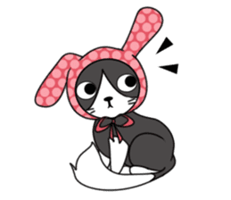 Lomo cute cat sticker #6355569
