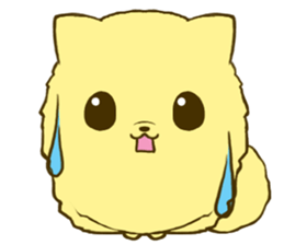 Pomeranian tan 2 sticker #6356493