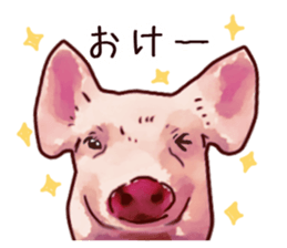Watercolor Swine sticker sticker #6357112