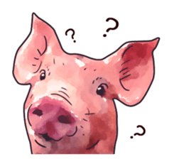 Watercolor Swine sticker sticker #6357113