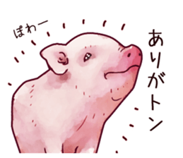 Watercolor Swine sticker sticker #6357115