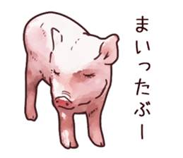 Watercolor Swine sticker sticker #6357118