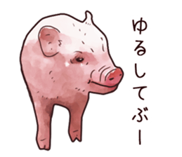Watercolor Swine sticker sticker #6357119