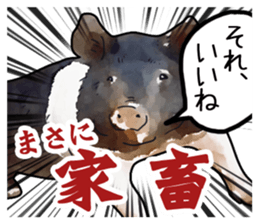 Watercolor Swine sticker sticker #6357120