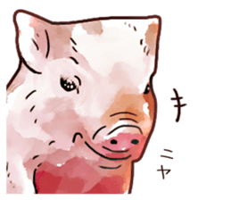 Watercolor Swine sticker sticker #6357129