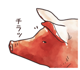 Watercolor Swine sticker sticker #6357134