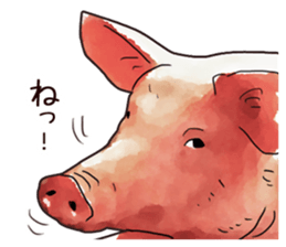 Watercolor Swine sticker sticker #6357135