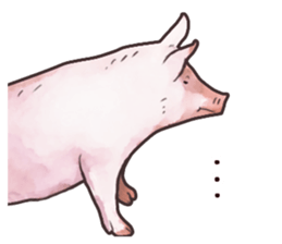 Watercolor Swine sticker sticker #6357138