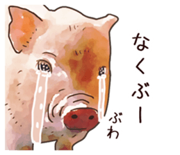 Watercolor Swine sticker sticker #6357142