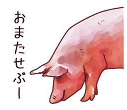 Watercolor Swine sticker sticker #6357144