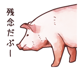Watercolor Swine sticker sticker #6357145