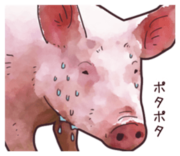 Watercolor Swine sticker sticker #6357146