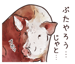 Watercolor Swine sticker sticker #6357148