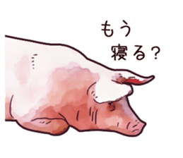 Watercolor Swine sticker sticker #6357150