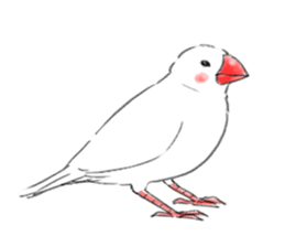 Japanese rice bird! sticker #6358144