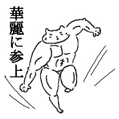 The well-muscled cat