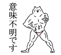 The well-muscled cat sticker #6360234