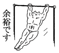 The well-muscled cat sticker #6360242