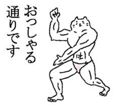 The well-muscled cat sticker #6360254
