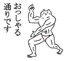 The well-muscled cat sticker #6360254