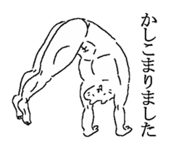 The well-muscled cat sticker #6360255
