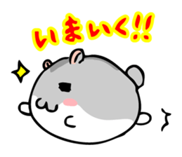 Chubby Djungarian Hamster 'Taro' sticker #6361593