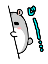 Chubby Djungarian Hamster 'Taro' sticker #6361611