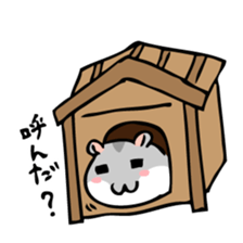 Chubby Djungarian Hamster 'Taro' sticker #6361625