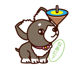 Chi-chan of Chihuahua dog. sticker #6361953