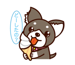 Chi-chan of Chihuahua dog. sticker #6361954
