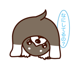 Chi-chan of Chihuahua dog. sticker #6361955