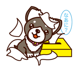 Chi-chan of Chihuahua dog. sticker #6361956
