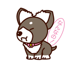 Chi-chan of Chihuahua dog. sticker #6361959