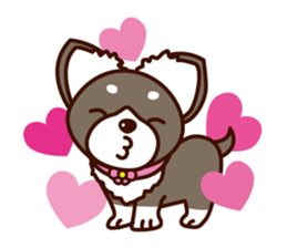 Chi-chan of Chihuahua dog. sticker #6361960