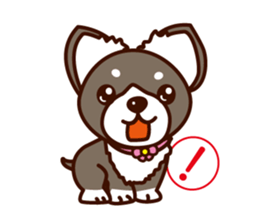Chi-chan of Chihuahua dog. sticker #6361961