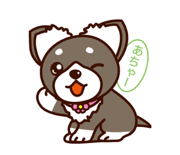 Chi-chan of Chihuahua dog. sticker #6361964