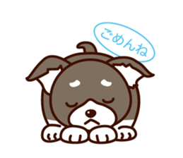 Chi-chan of Chihuahua dog. sticker #6361965