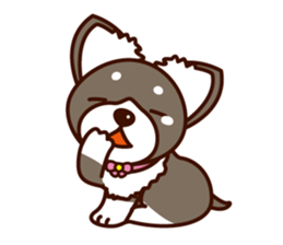 Chi-chan of Chihuahua dog. sticker #6361966