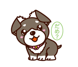 Chi-chan of Chihuahua dog. sticker #6361968