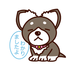 Chi-chan of Chihuahua dog. sticker #6361969