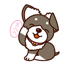 Chi-chan of Chihuahua dog. sticker #6361970