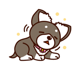 Chi-chan of Chihuahua dog. sticker #6361971