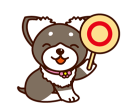 Chi-chan of Chihuahua dog. sticker #6361972