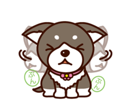 Chi-chan of Chihuahua dog. sticker #6361973