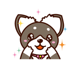 Chi-chan of Chihuahua dog. sticker #6361978