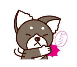 Chi-chan of Chihuahua dog. sticker #6361980