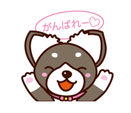 Chi-chan of Chihuahua dog. sticker #6361981